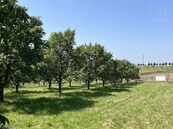 Prodej pozemku, Soběsuky Milovice, cena 1200000 CZK / objekt, nabízí 