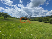 Prodej, Louka, pastvina, Nový Hrozenkov, cena 799000 CZK / objekt, nabízí 