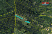 Prodej pozemků, 6278 m2, Ludkovice, cena 335000 CZK / objekt, nabízí