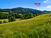 Prodej louky, 4215 m2, Lužná, cena 350000 CZK / objekt, nabízí 