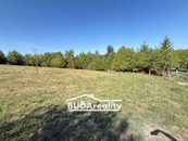Prodej louky 3 374 m2, Bratřejov, i jako investice pro možnou výstavbu, cena 550000 CZK / objekt, nabízí 
