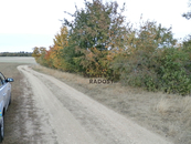 Pronájem, Zahrada, Znojmo, cena 10 CZK / m2 / rok, nabízí 